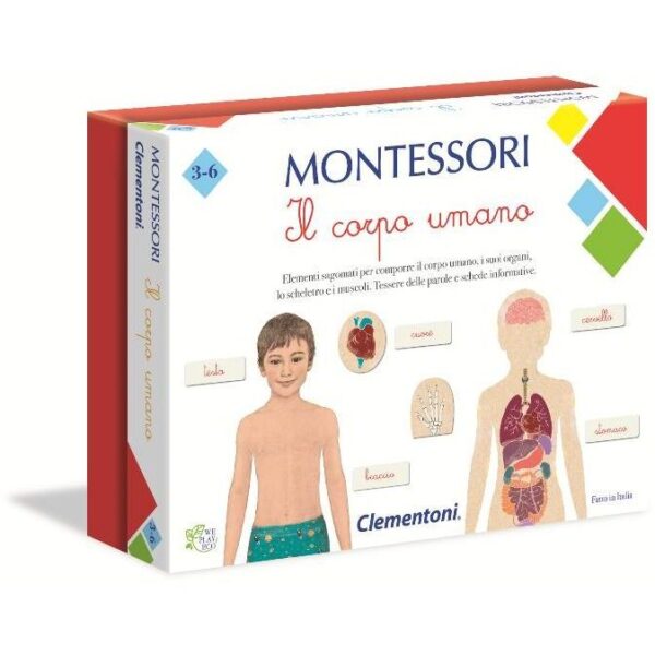 metodo-montessori-clementoni-il-corpo-umano-cirinaro